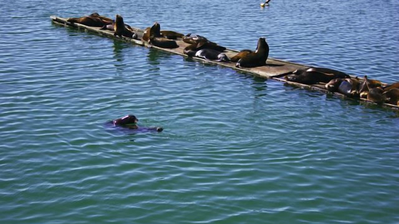 Photo of Others in Crescent City North