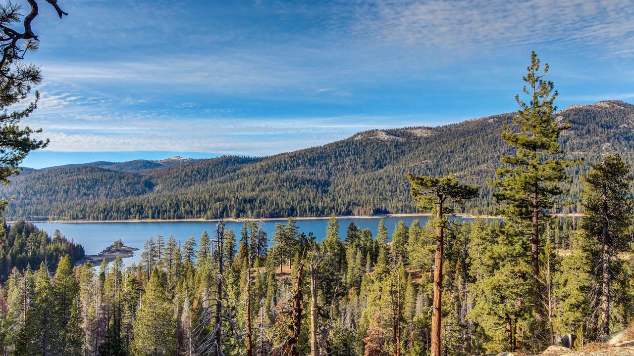 Photo of Others in Shaver Lake