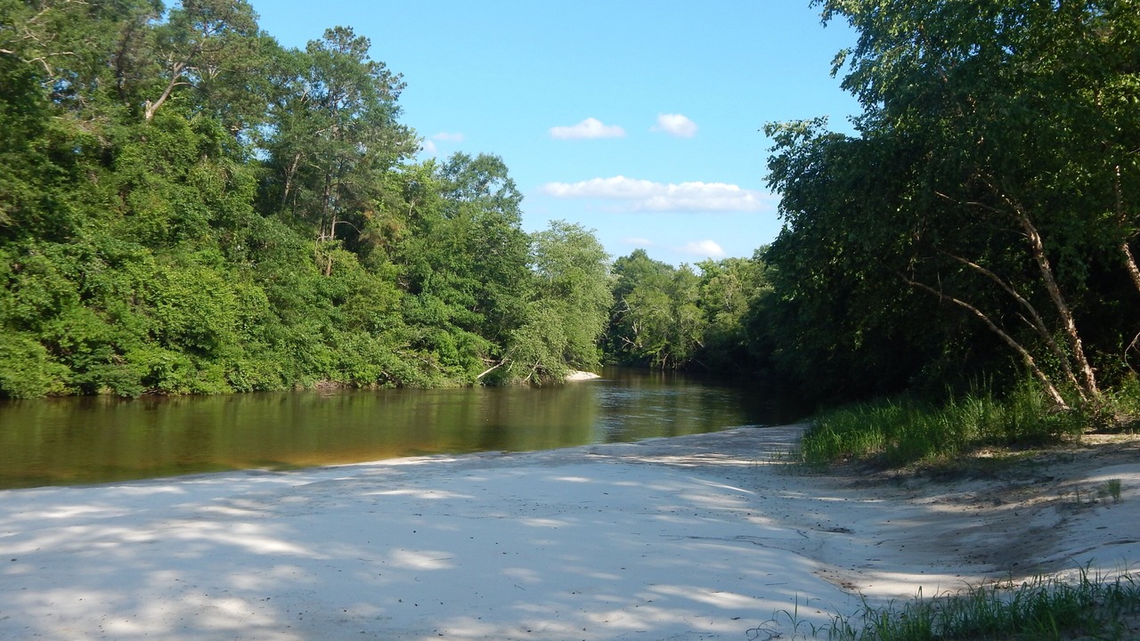 Photo of Others in Perkinston