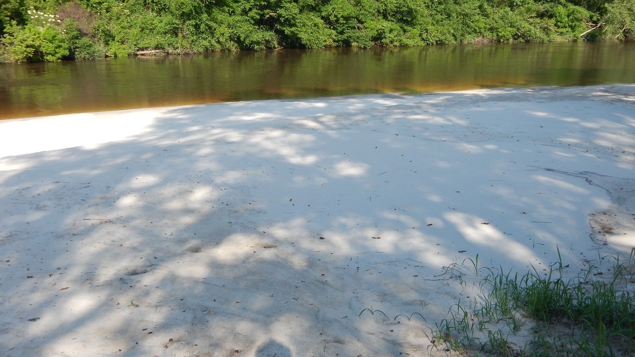 Photo of Others in Perkinston