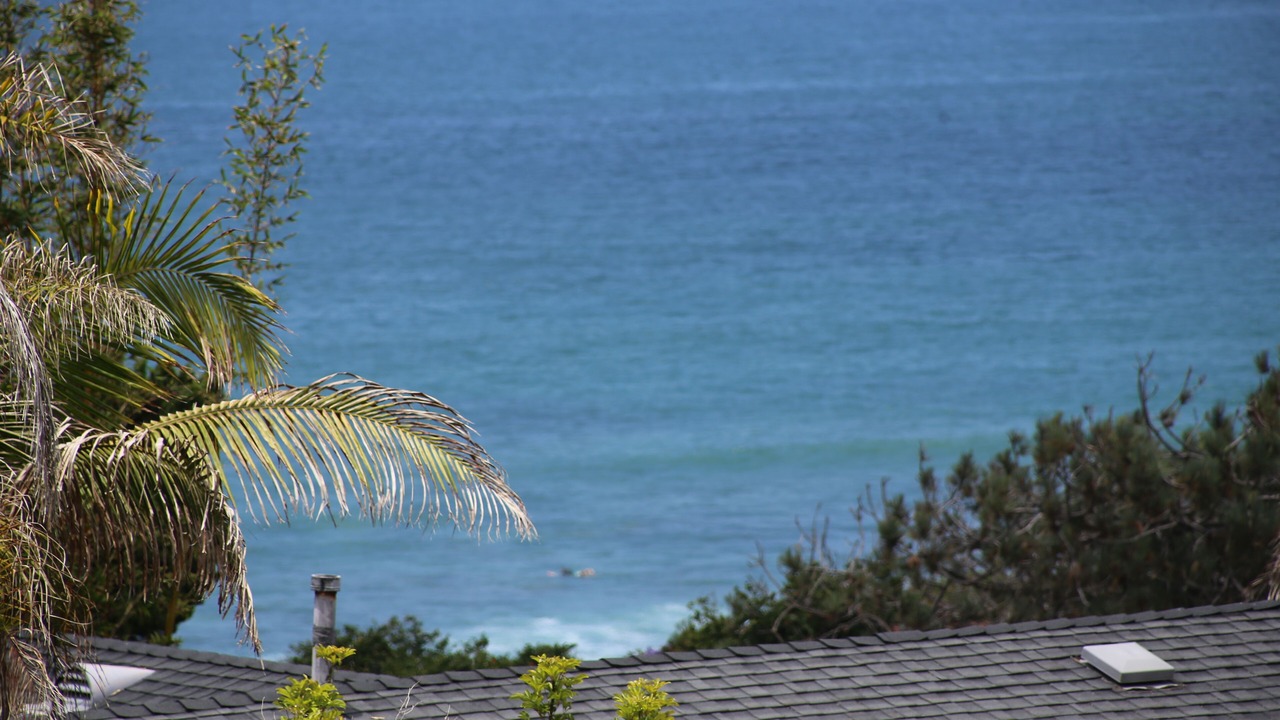 Photo of Others in Del Mar