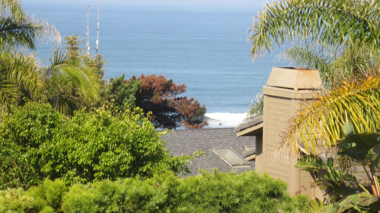 Photo of Others in Del Mar
