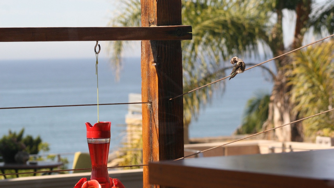 Photo of Outdoor in Del Mar