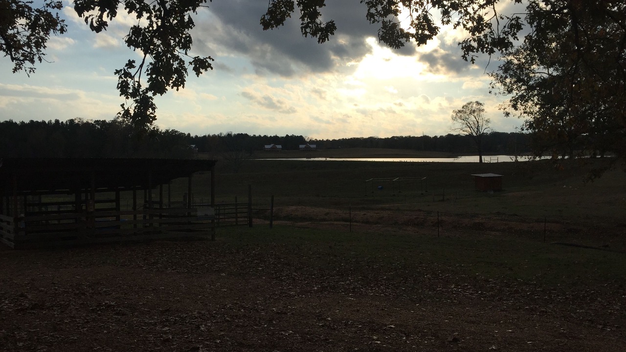 Photo of Outdoor in Union Springs