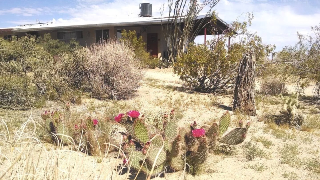 Photo of Outdoor in Joshua Tree Highlands