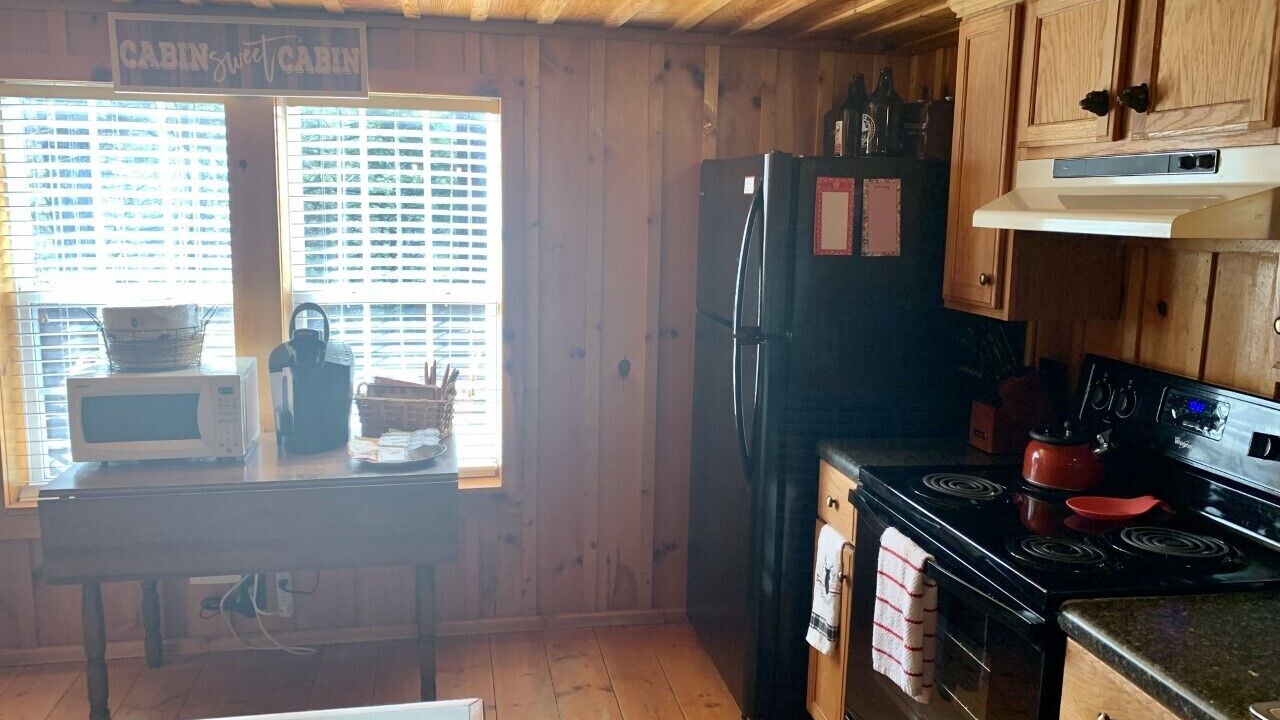 Photo of Kitchen in Lansing