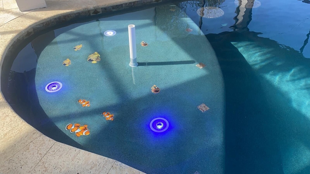 Photo of Others in Apollo Beach