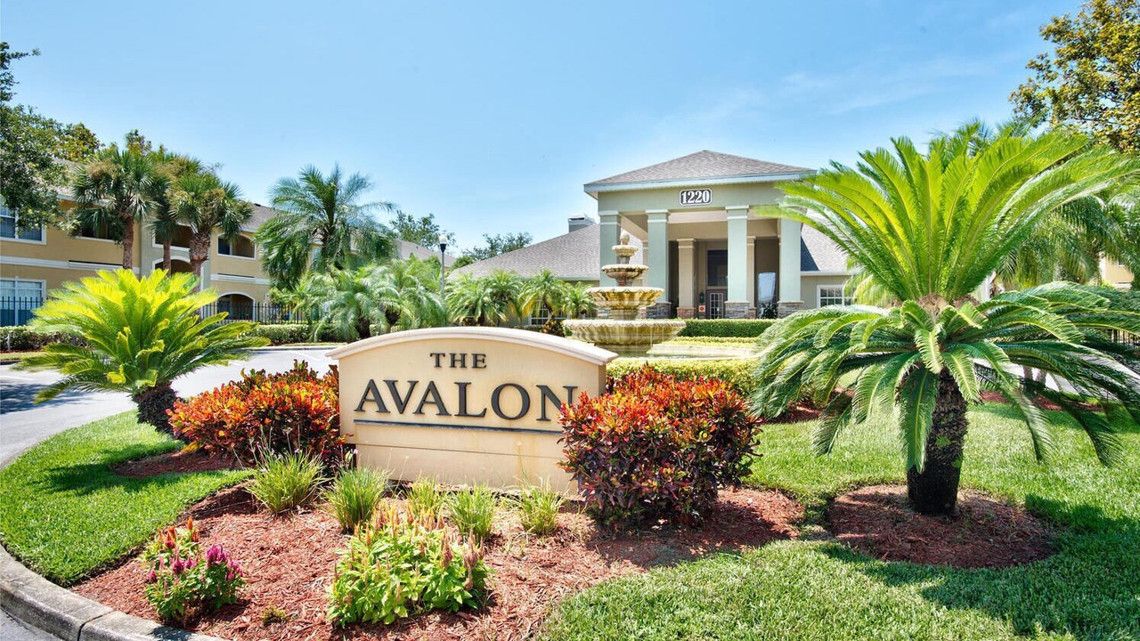 Photo of Outdoor in Clearwater