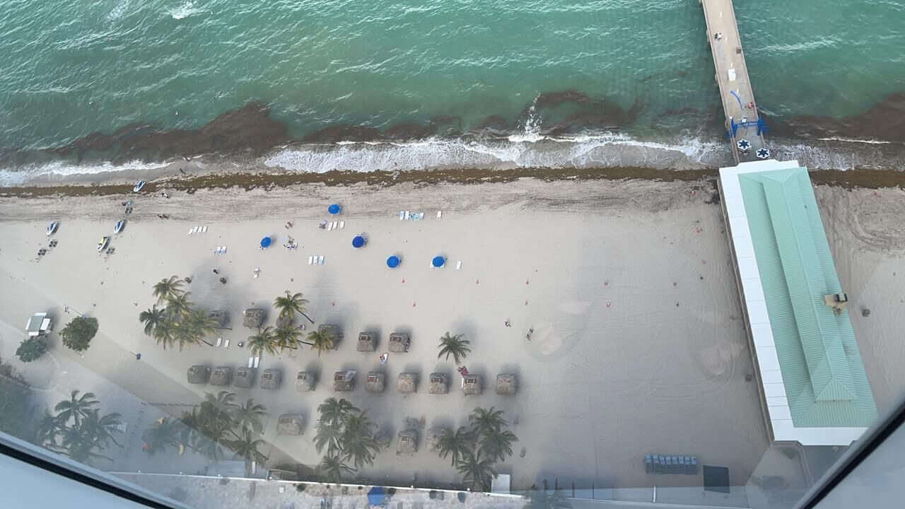 Photo of Others in Sunny Isles Beach
