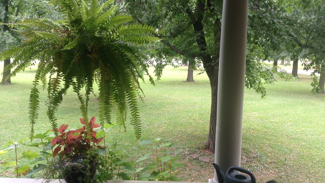 Photo of Outdoor in Albright
