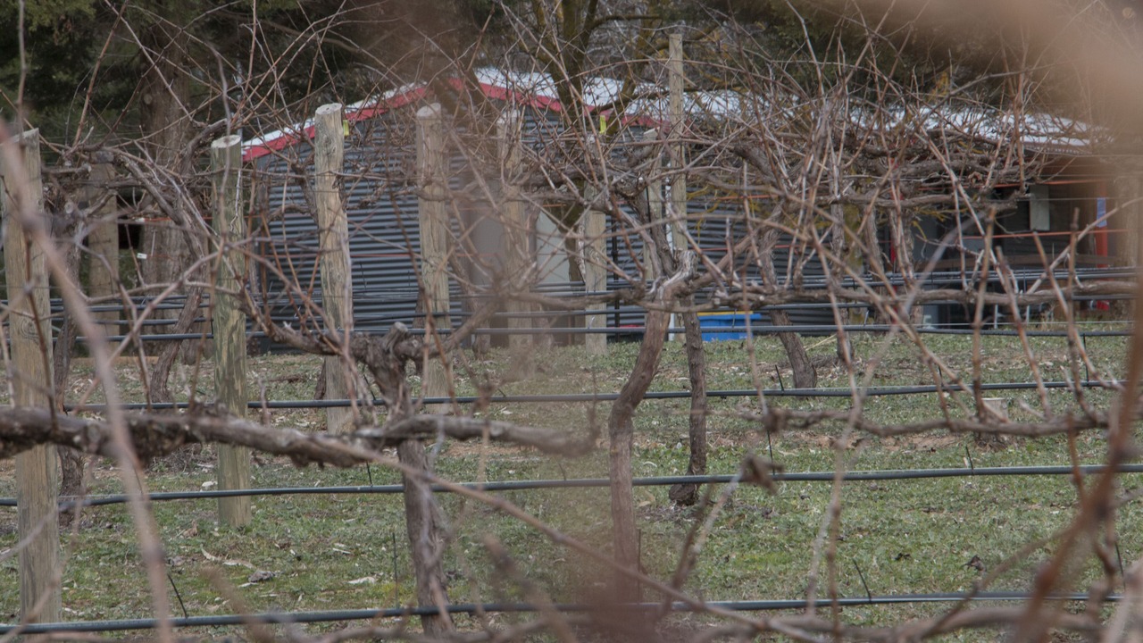 Photo of Outdoor in Tallarook