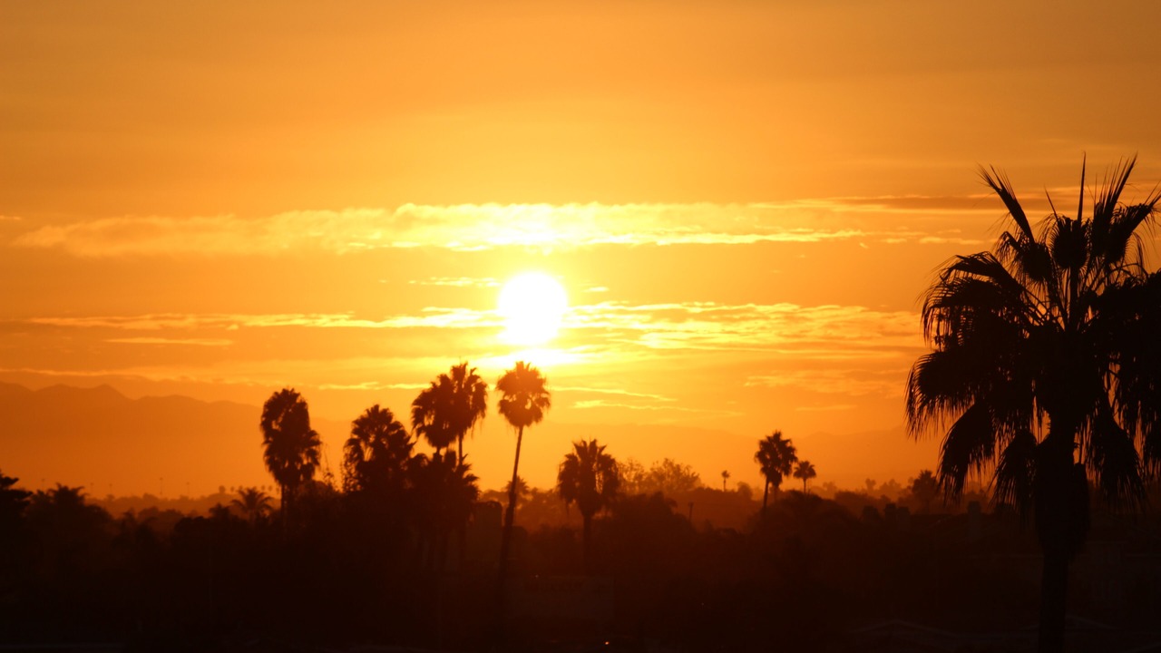 Photo of Others in Huntington Beach