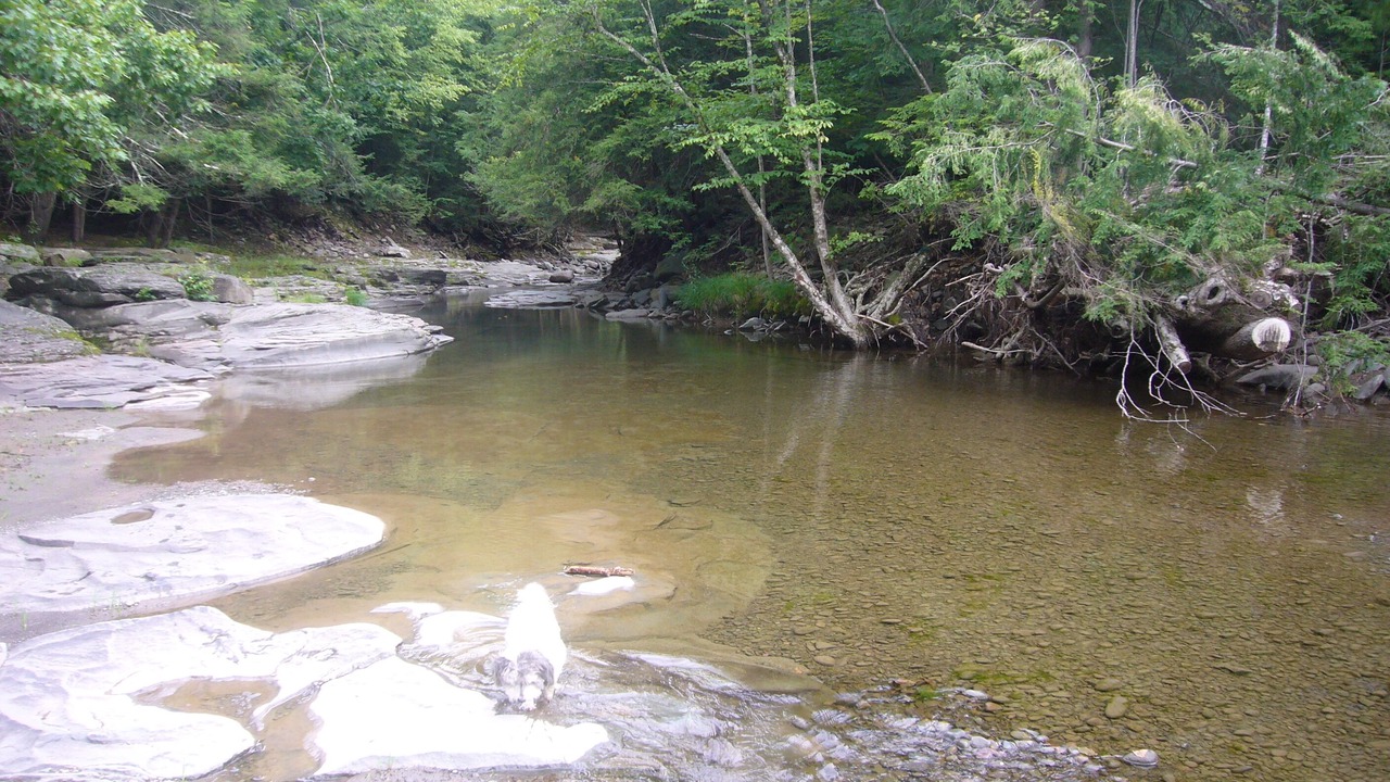 Photo of Others in Lake Hill