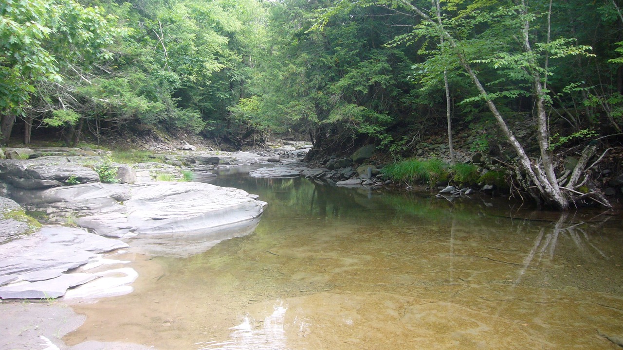 Photo of Others in Lake Hill