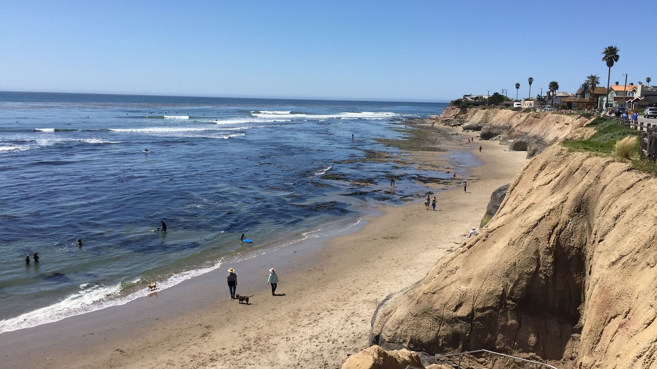 Photo of Others in Opal Cliffs