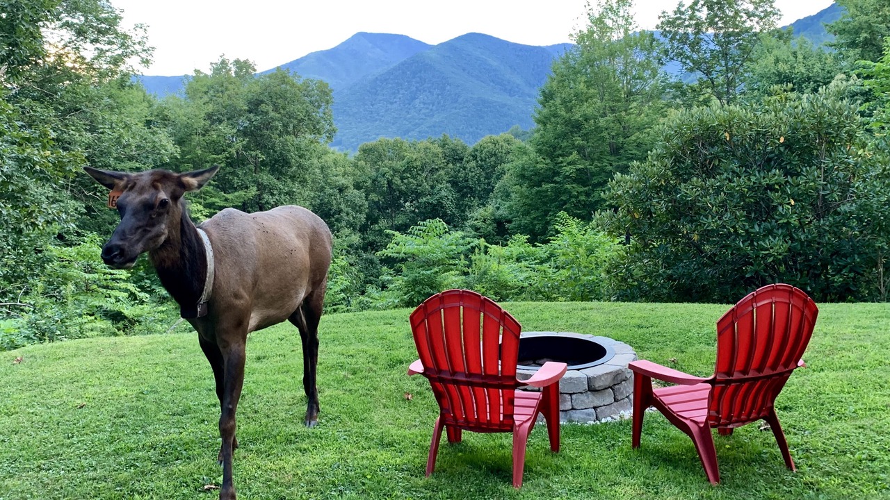 Photo of Others in Maggie Valley