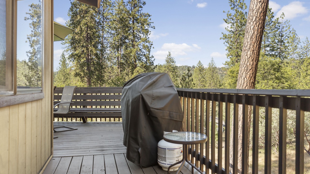 Photo of Outdoor in Groveland