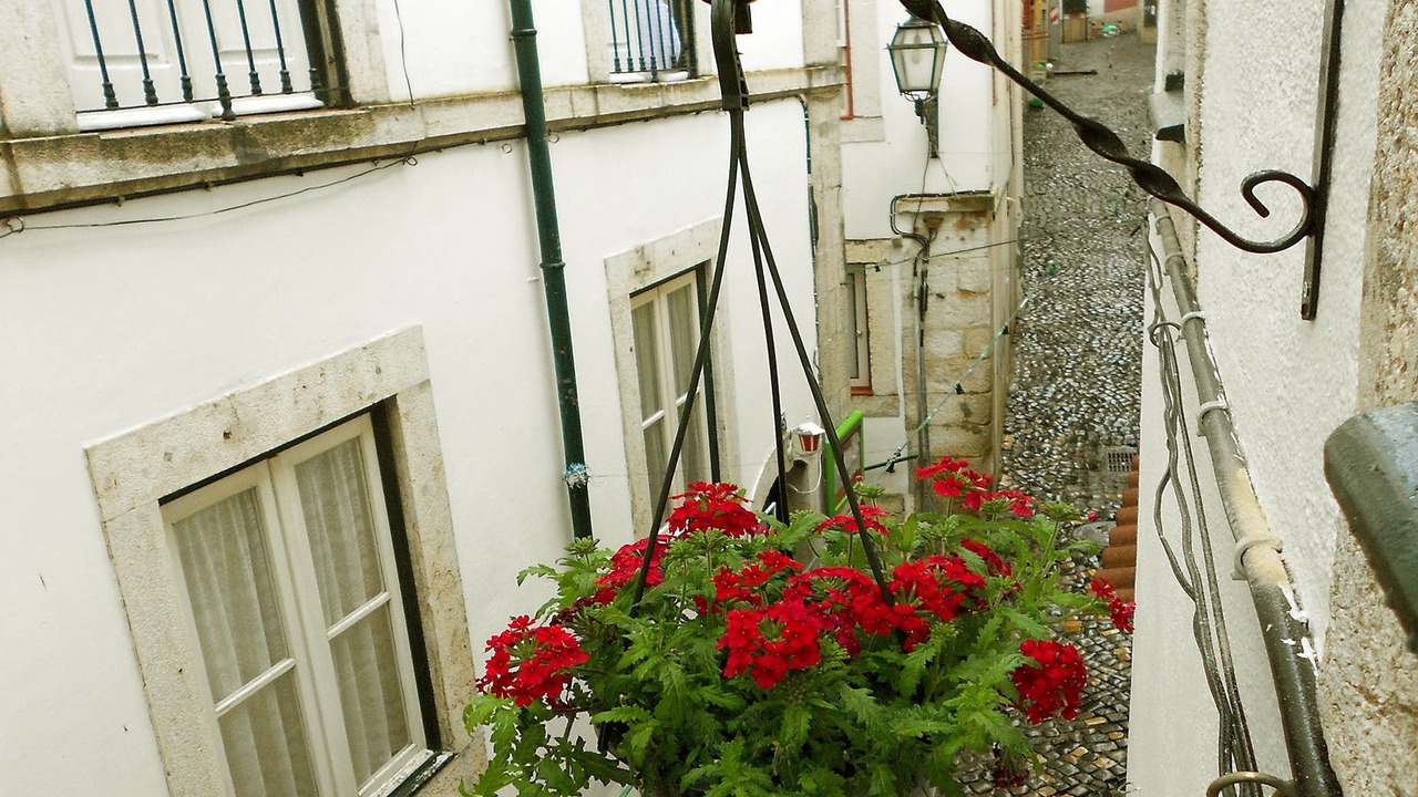 Photo of Others in Santa Maria Maior