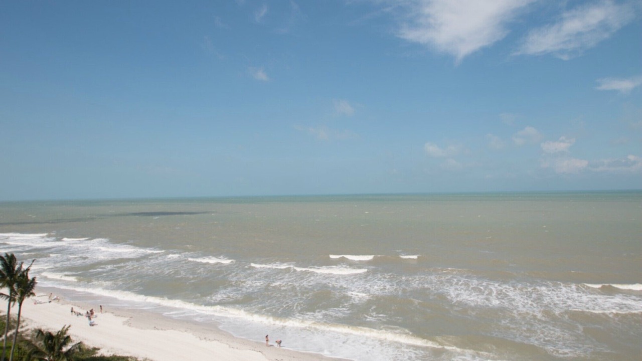 Photo of Others in Vanderbilt Beach