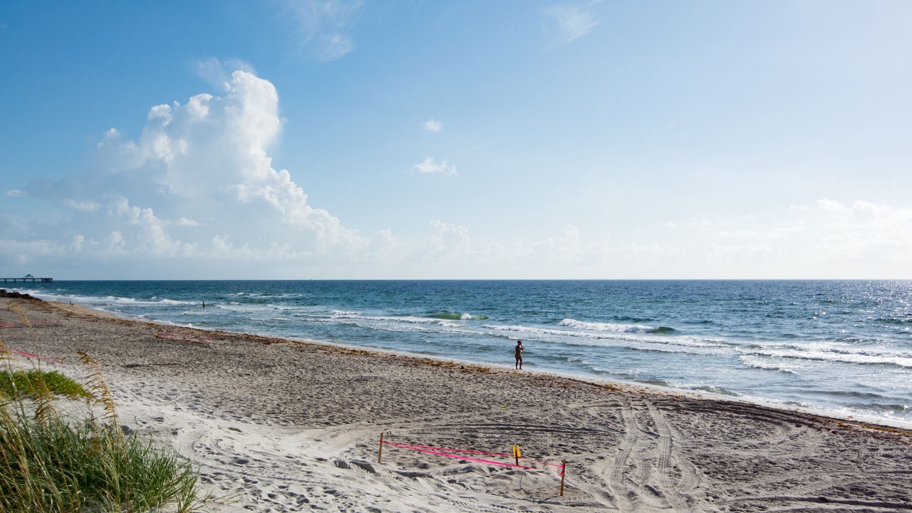 Photo of Others in Hillsboro Beach