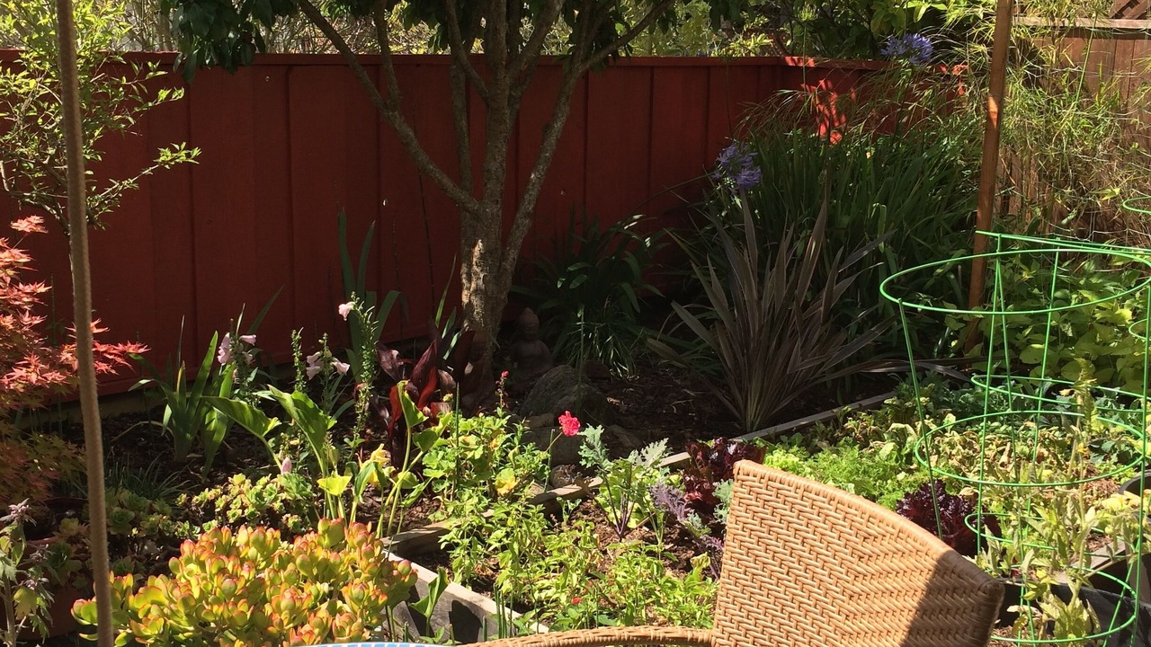 Photo of Outdoor in Rio del Mar