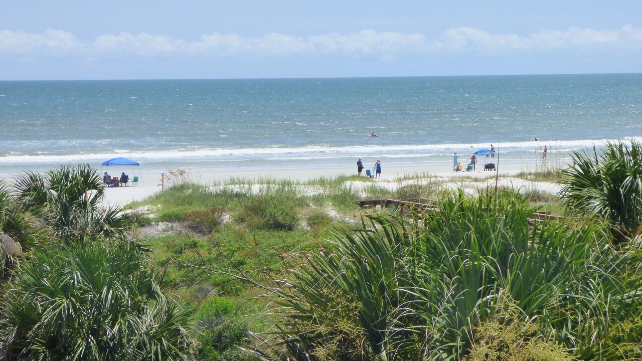 Photo of Others in St. Augustine Beach
