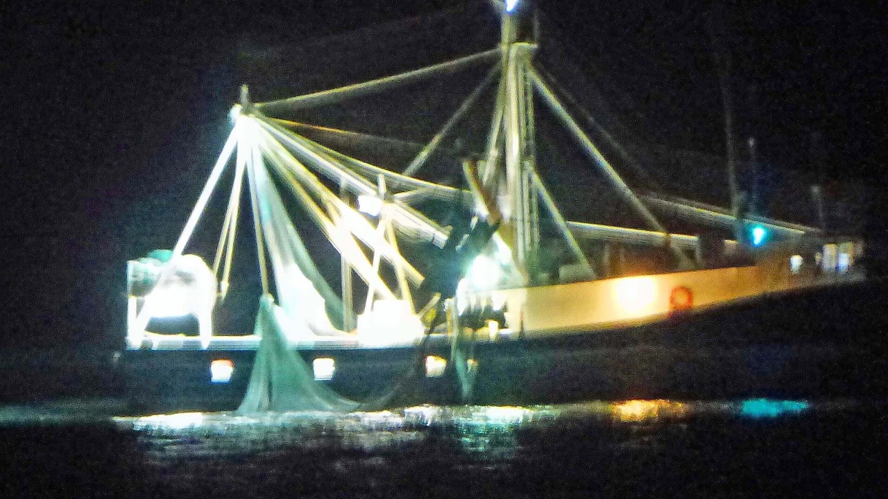Photo of Outdoor in St. Augustine Beach
