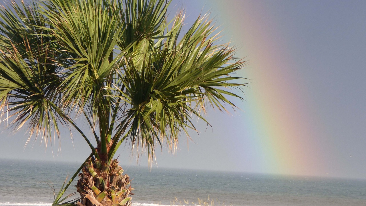 Photo of Others in St. Augustine Beach