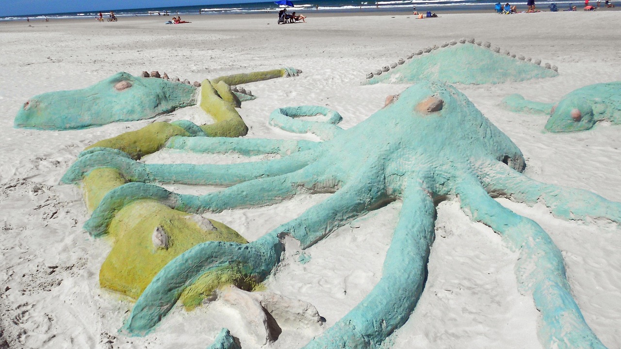 Photo of Others in St. Augustine Beach