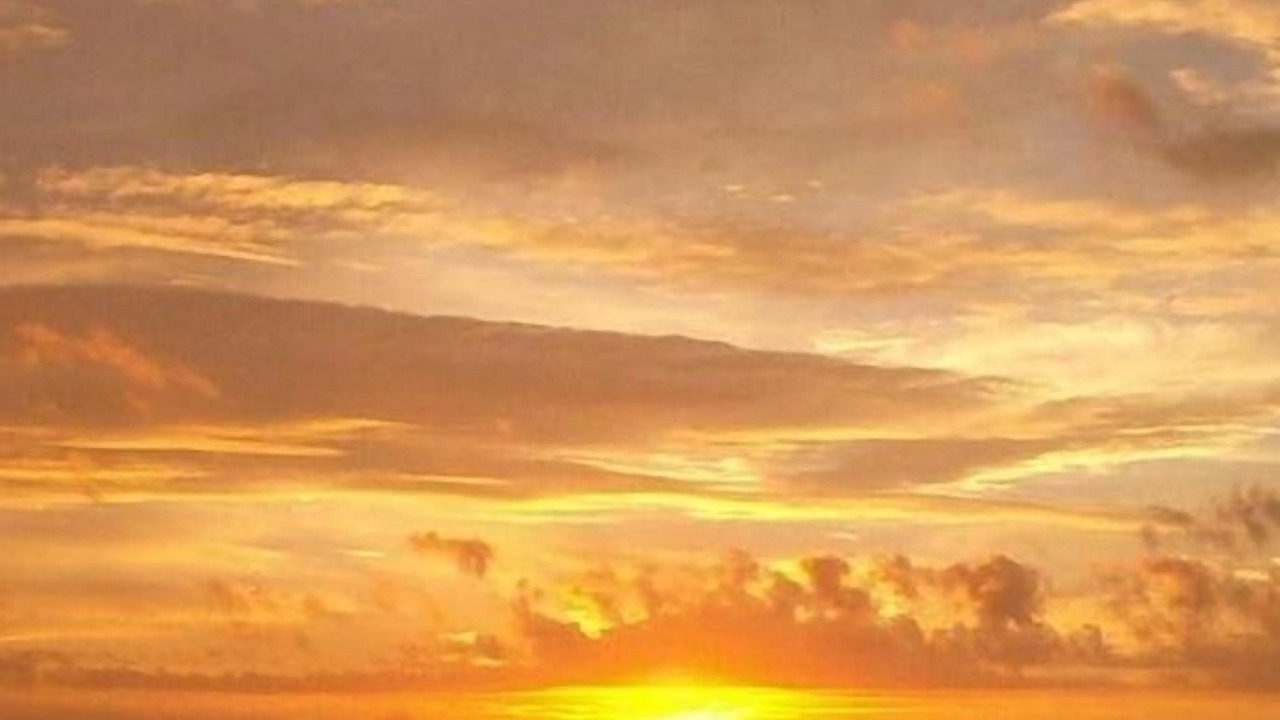 Photo of Others in St. Augustine Beach