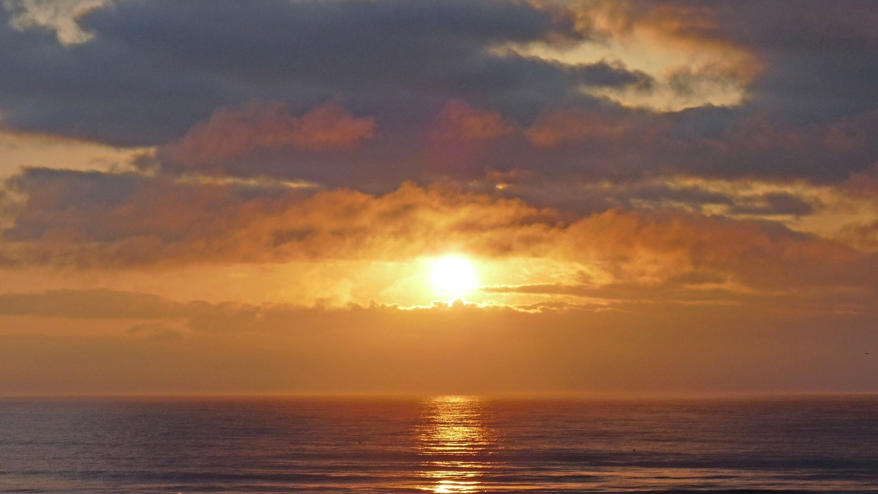 Photo of Others in St. Augustine Beach