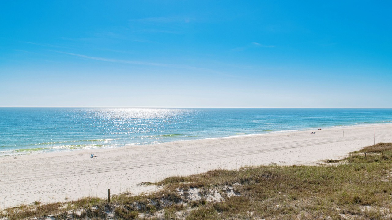 Photo of Others in Orange Beach