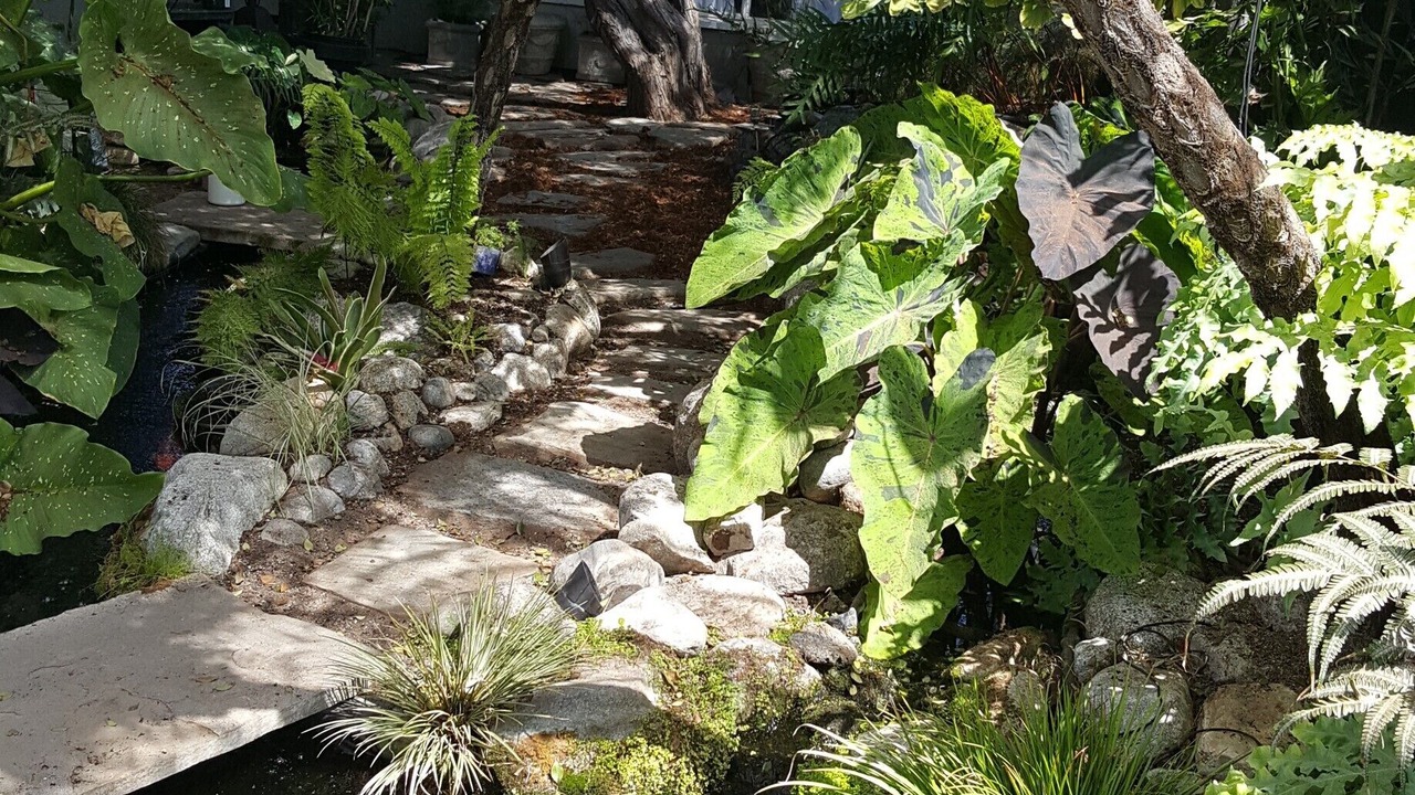 Photo of Bedroom in Corona del Mar