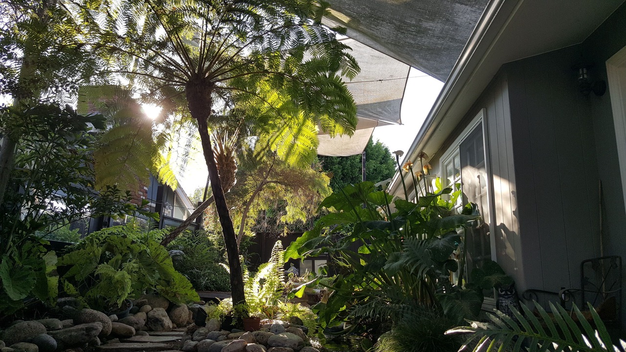 Photo of Outdoor in Corona del Mar