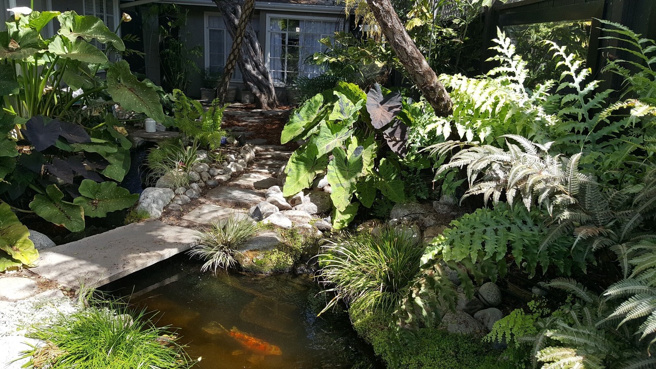 Photo of Outdoor in Corona del Mar
