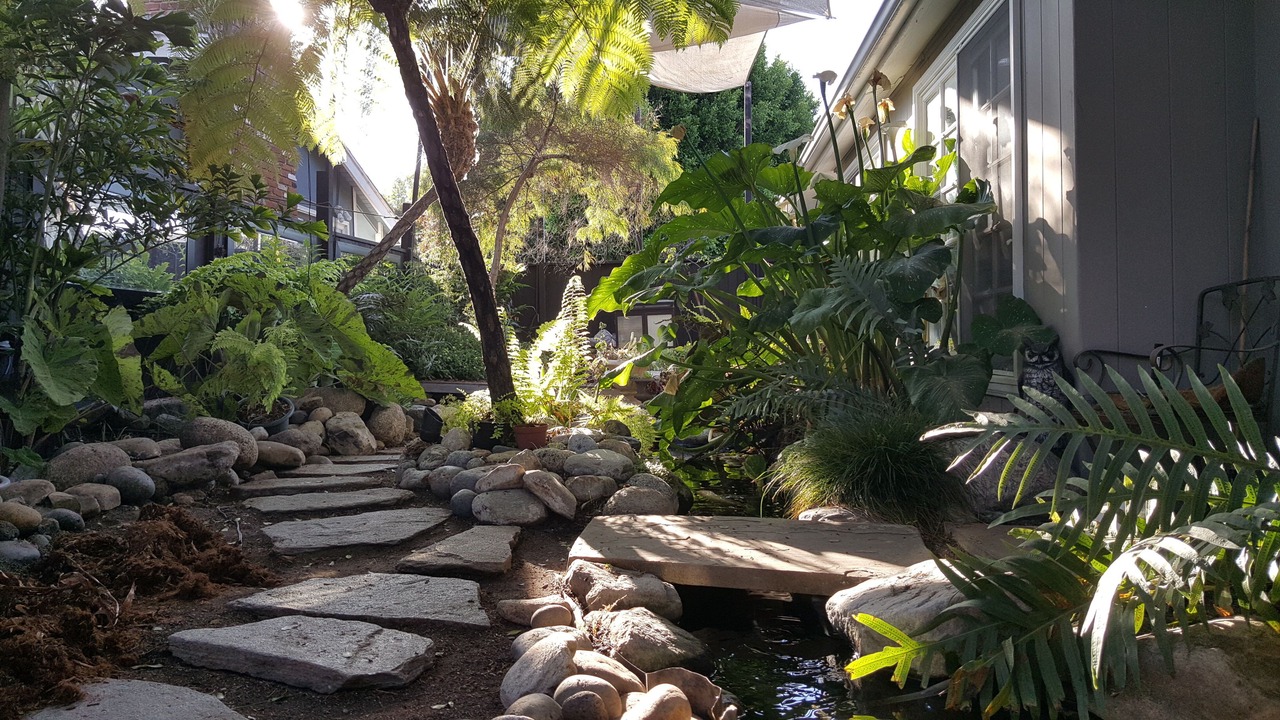 Photo of Others in Corona del Mar