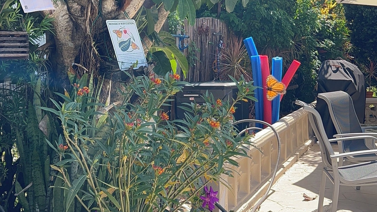 Photo of Others in Deerfield Beach