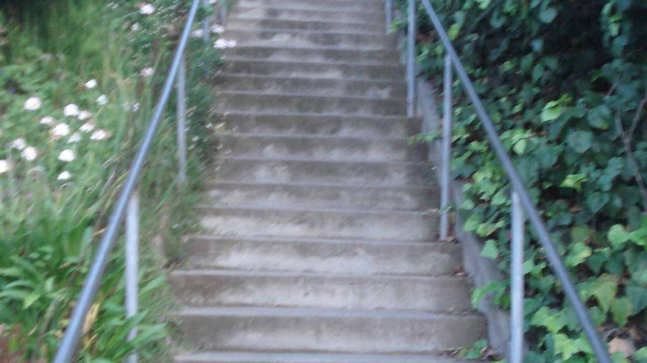 Photo of Others in Windsor Hills