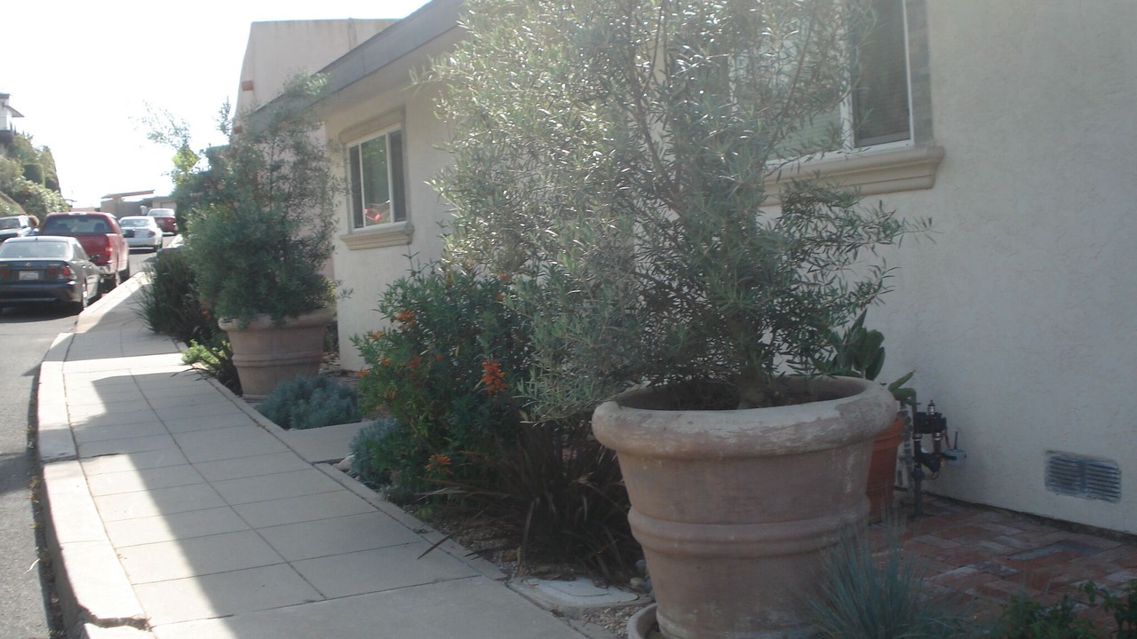 Photo of Others in Windsor Hills