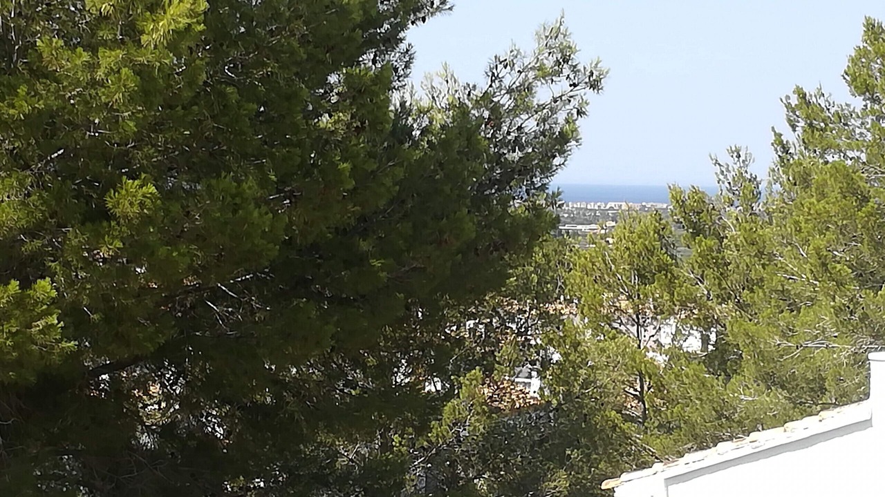 Photo of Others in Pedreguer