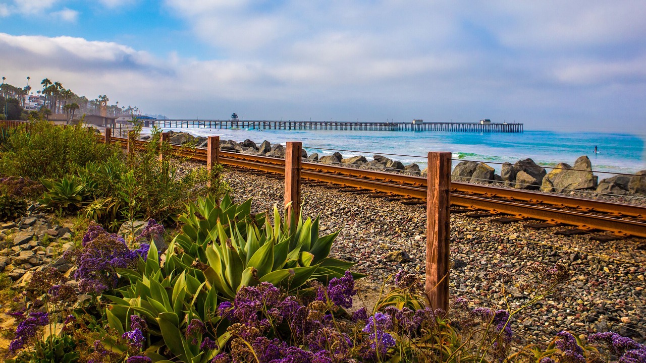 Photo of Others in San Clemente