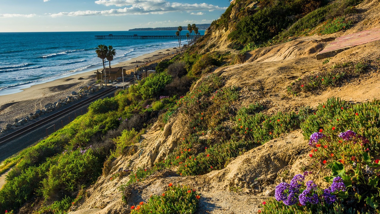 Photo of Others in San Clemente
