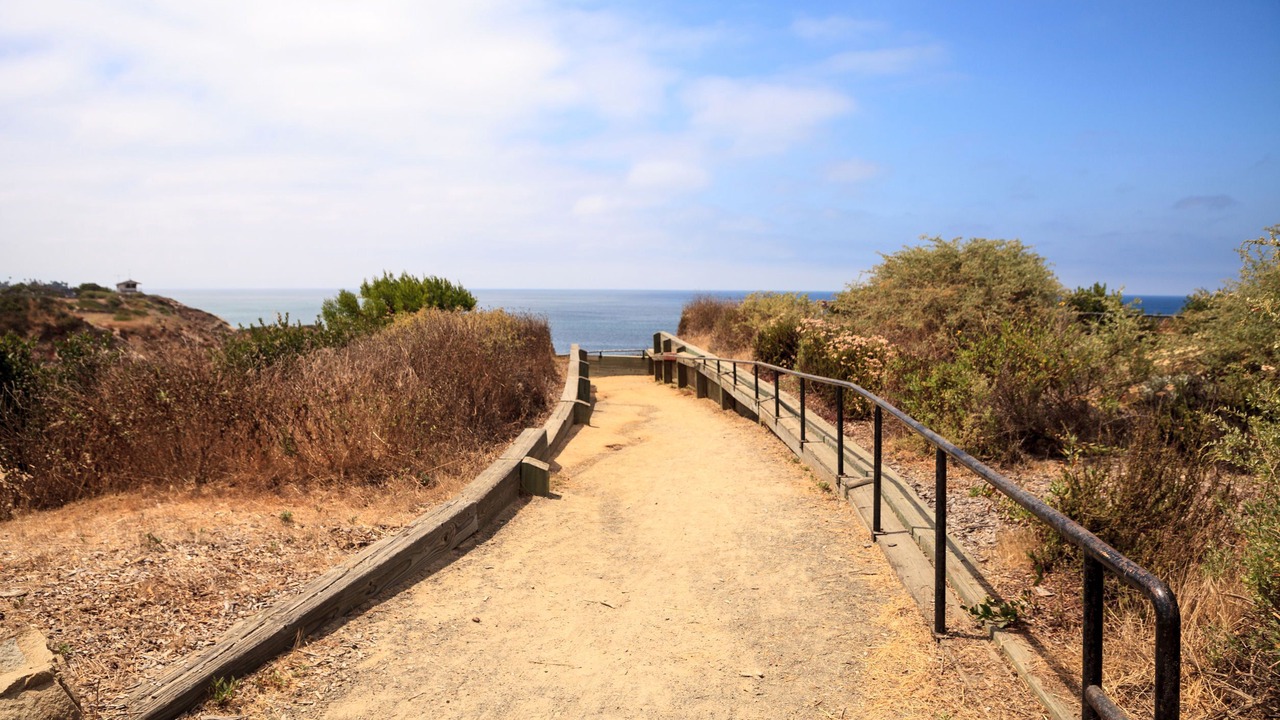 Photo of Others in San Clemente