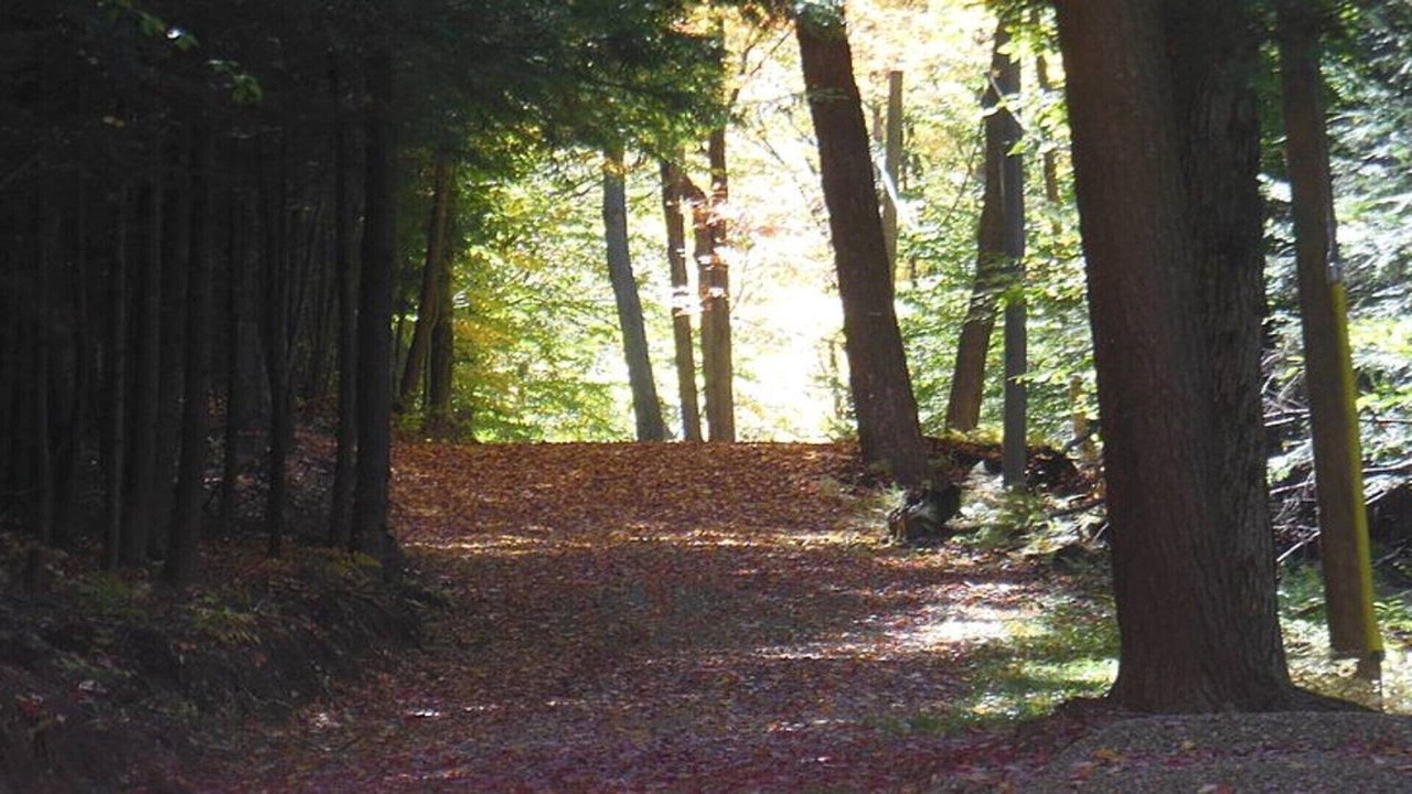 Photo of Outdoor in Wellsville