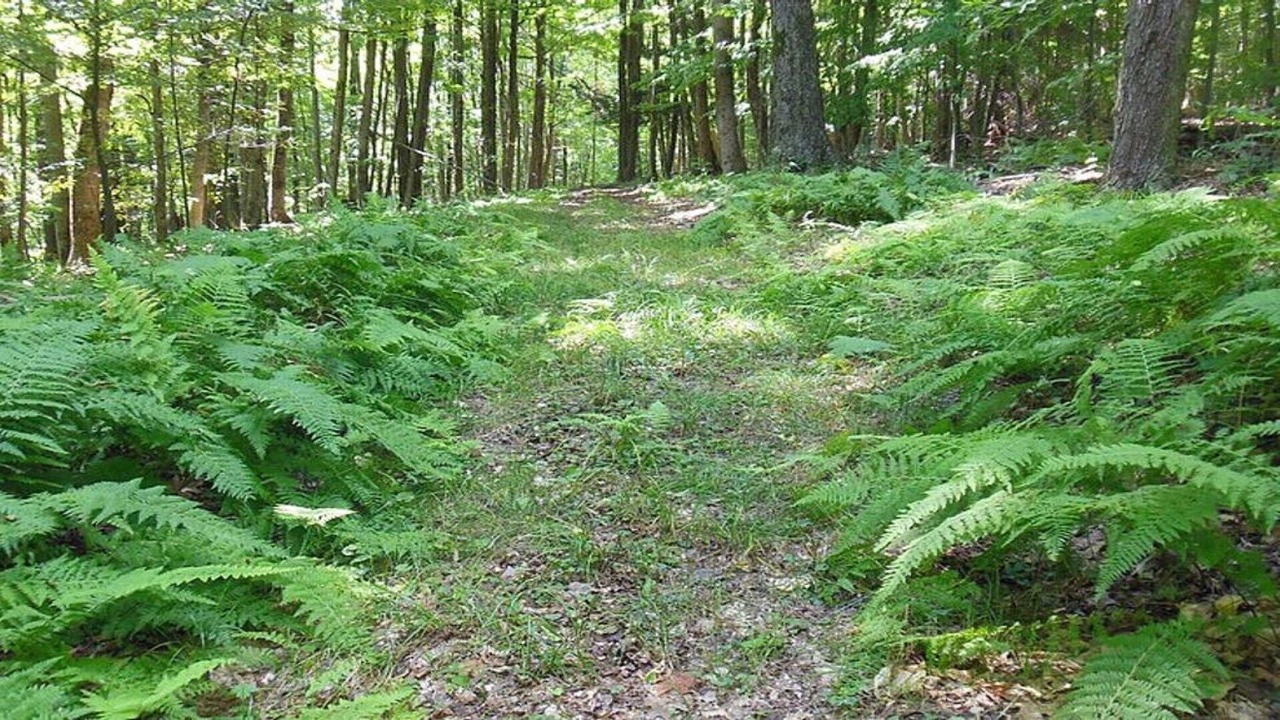 Photo of Outdoor in Wellsville