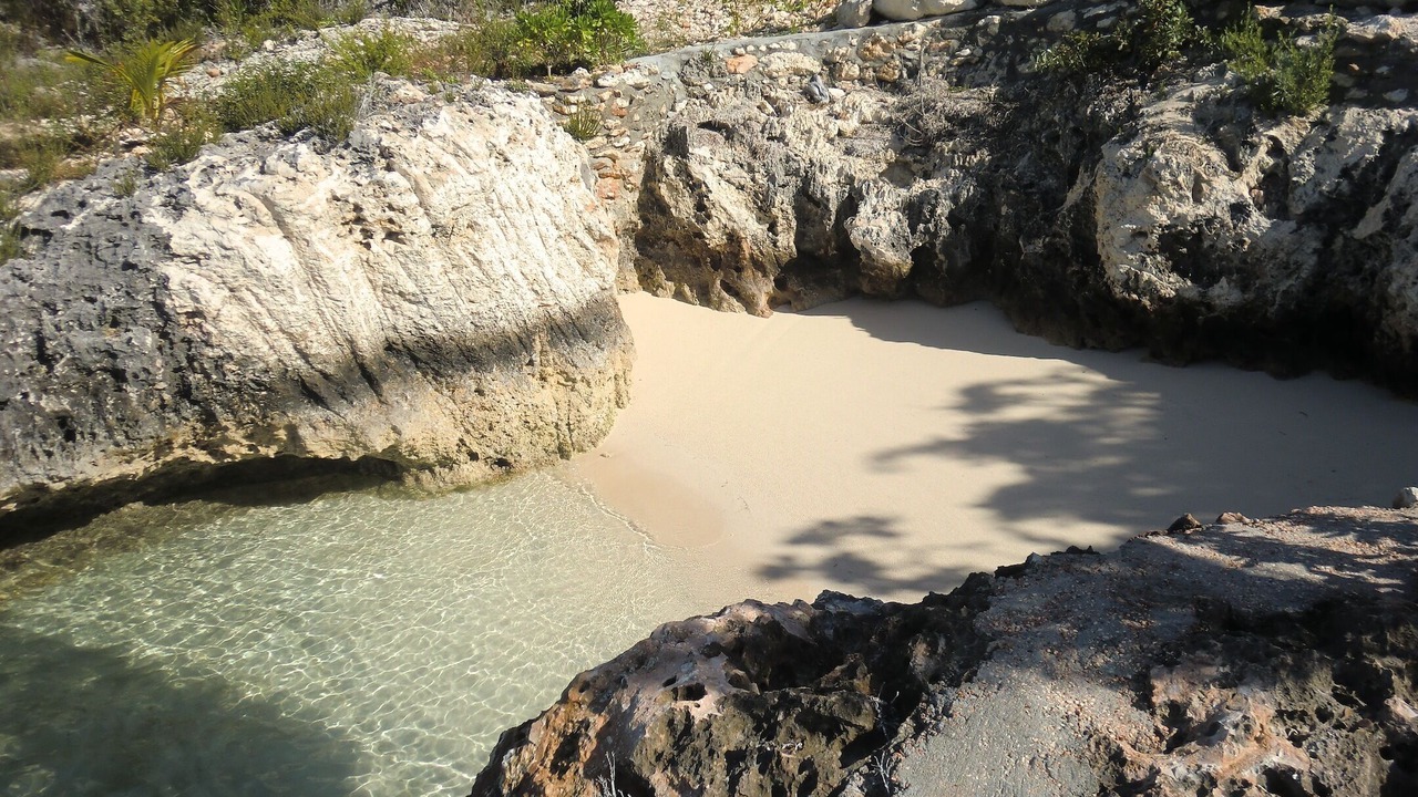 Photo of Others in Salt Pond