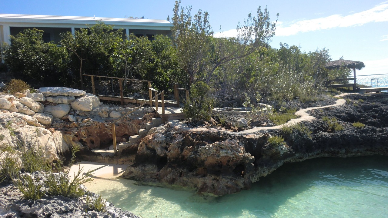 Photo of Others in Salt Pond