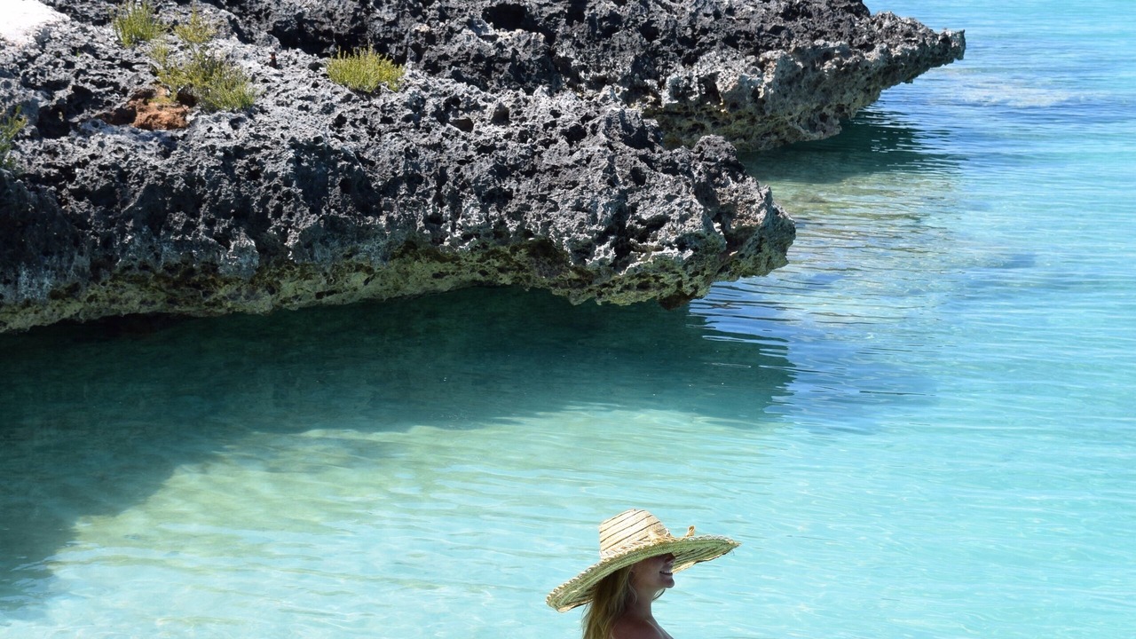 Photo of Others in Salt Pond