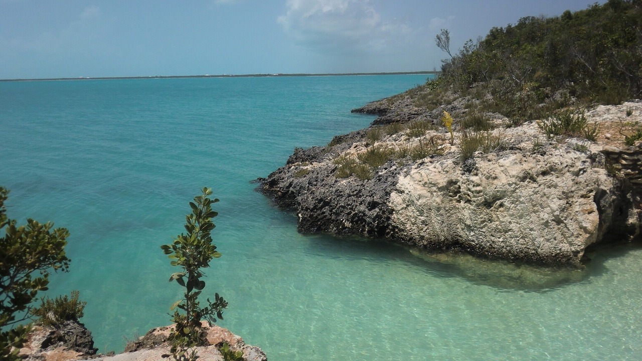 Photo of Others in Salt Pond