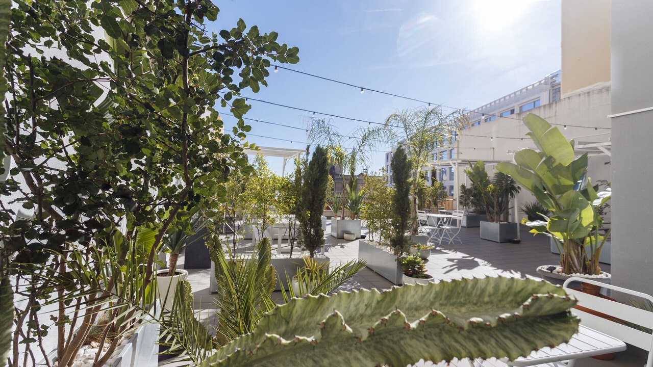 Photo of Patio Balcony in Santo Antonio